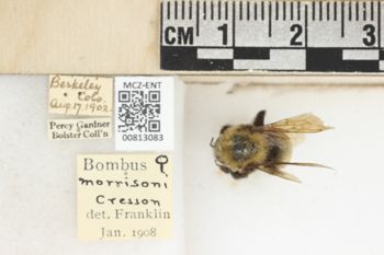 Media type: image;   Entomology 813083 Aspect: labels